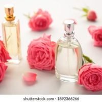 perfume-bottles-pink-roses-on-260nw-1892366266.jpg